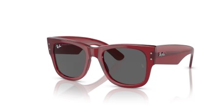 RAYBAN  0840-S 6679/B1 51/21145 3N